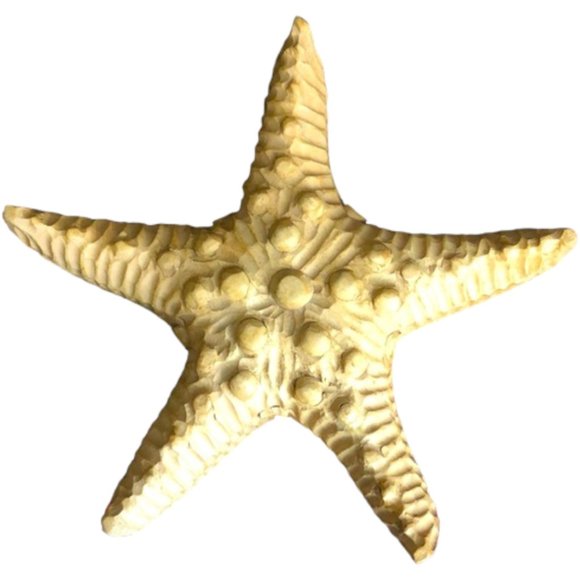 Handcarved Wooden Starfish Large Carved Solid Wood Art Decor 2 lbs Beach 11" - Picture 8 of 8